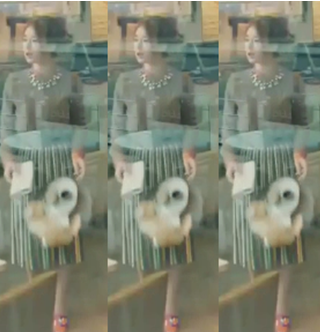 3.PNG