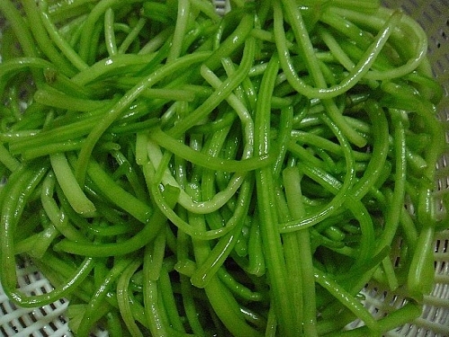 아삭한 고구마순 김치