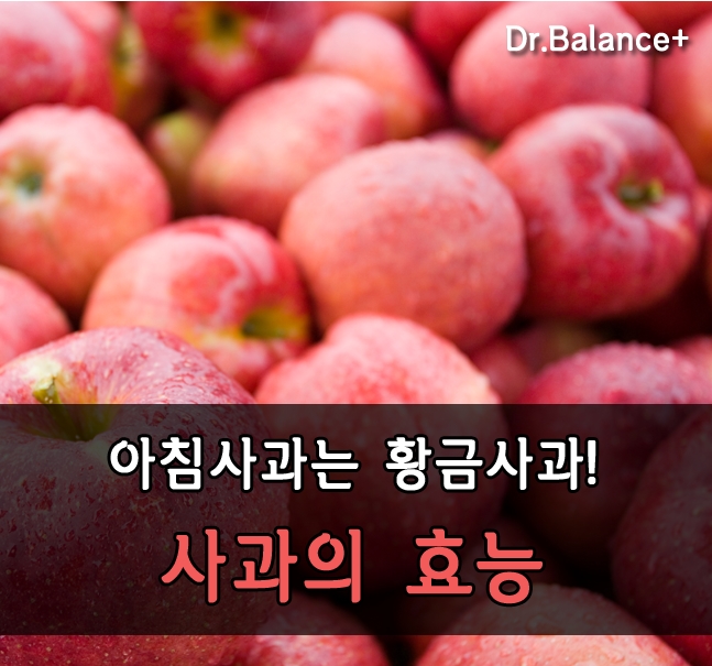 건강에 좋은 사과의 효능