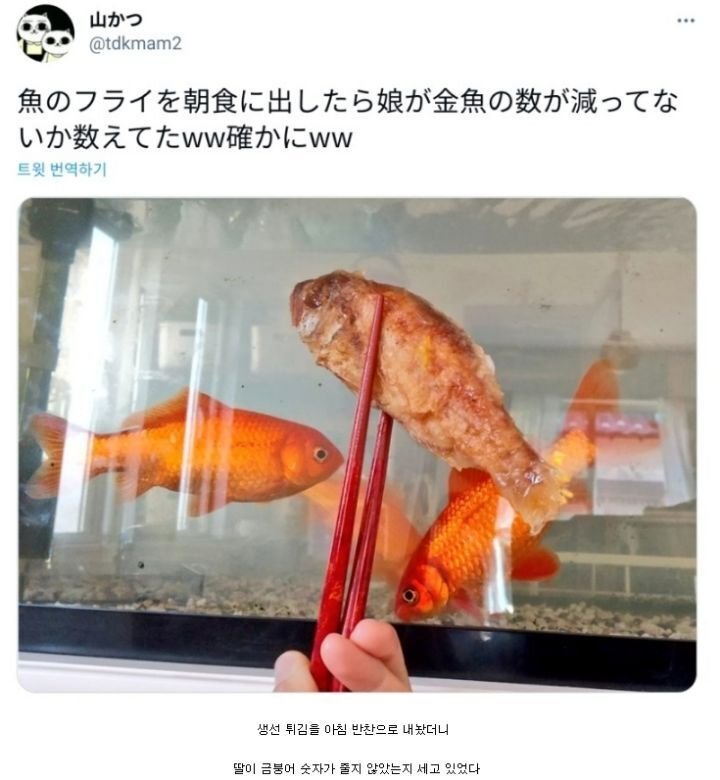 엄마의 생선 반찬이 의심스러운 딸