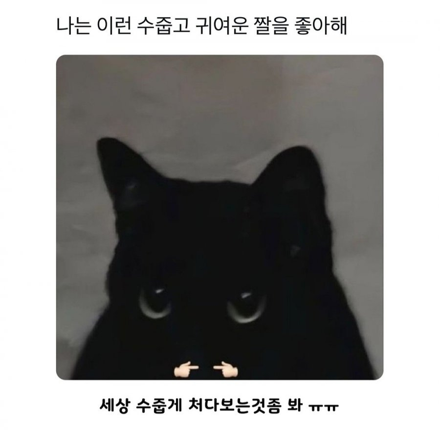 나는 이런 수줍고 귀여운 짤을 좋아해